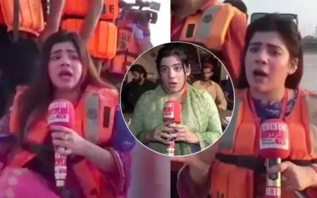 বিবিসি মানে ‘ভাই ভাই চ্যানেল