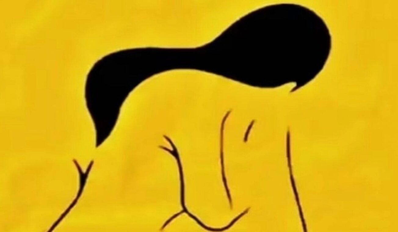 অপটিক্যাল ইলিউশন