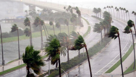 ঝড়ের আভাস