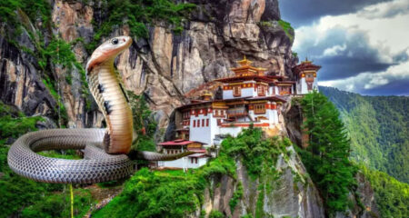 মানুষদের সাপে কামড়ে