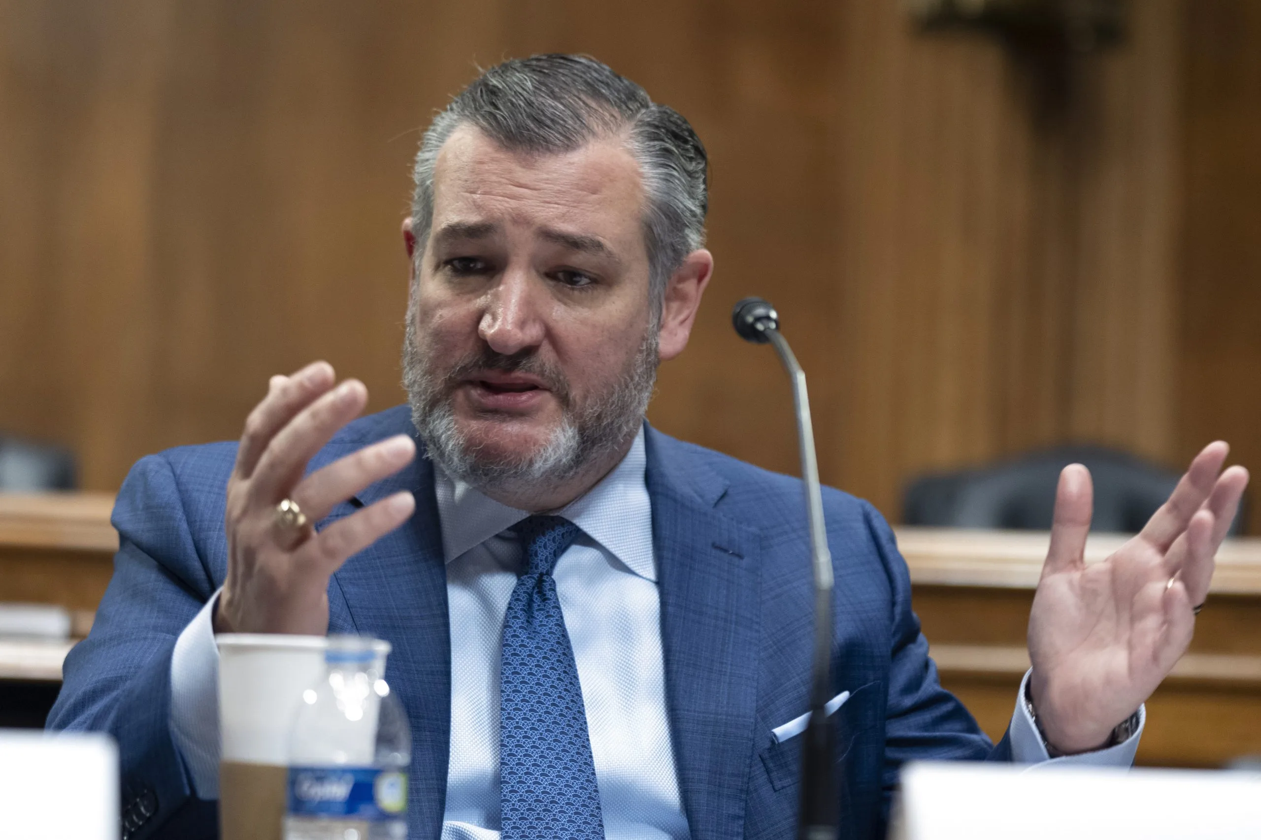 Cruz Urges Trump to Recognize Somaliland: Strategic Counter to China in Horn of Africa