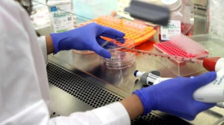 বিশ্বের প্রথম মানব ত্বক