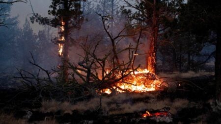 Oregon Wildfire Rages as Thousands Evacuate Amid Extreme Heat oregon wildfire