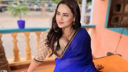 ওয়েব সিরিজ