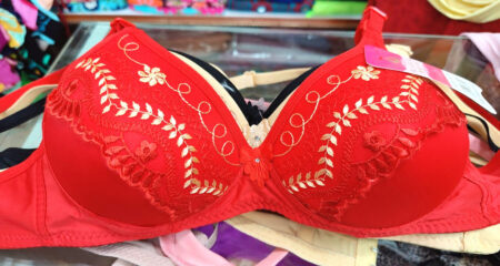 মেয়েদের কোন রঙের ব্রা পরা উচিত? জেনে নিন সঠিক তথ্য bra