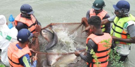 মাছ ধরতে হেলমেট