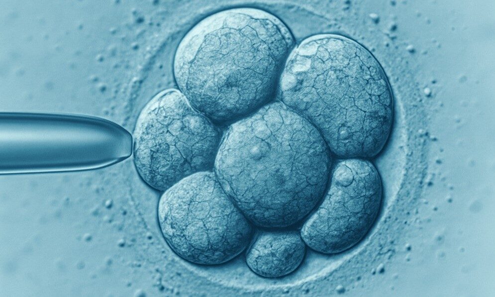 frozen embryo birth