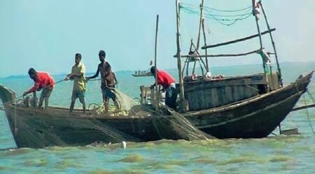 ভরা মৌসুমে ইলিশের আকাল