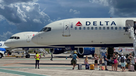 Delta flight attendant