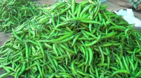 কাঁচা মরিচের দাম