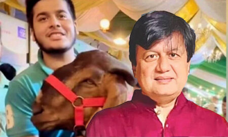 ছাগলকাণ্ডে আলোচিত মতিউর আদালতে কাঁদলেন, মেলেনি জামিন ছাগলকাণ্ডে আলোচিত মতিউর