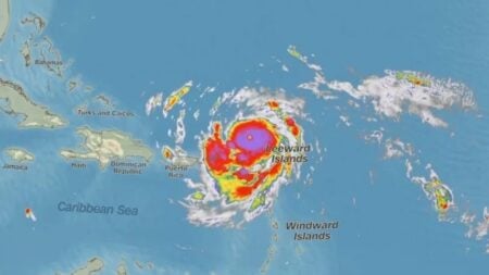 হারিকেন ‘অ্যারিন’