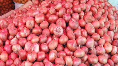 পেঁয়াজের দাম যেসব কারণে বাড়ছে onion