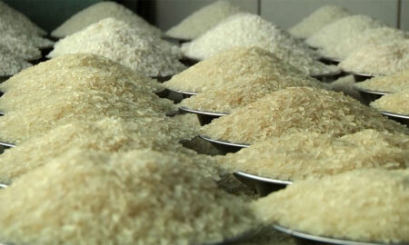 আসছে চালের বাজারে সু-খবর চালের বাজারে সু-খবর