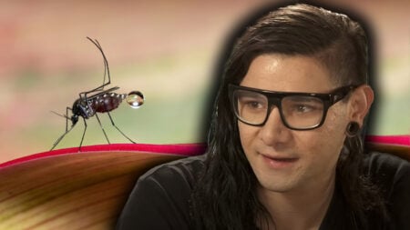 Dubstep vs Dengue: Skrillex Track Emerges as Unlikely Mosquito Repellent Study: Skrillex Music Reduces Mosquito Bites