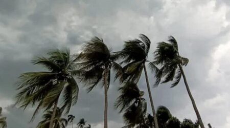 ঝড়বৃষ্টির আভাস