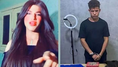 টিকটকে ভিডিও