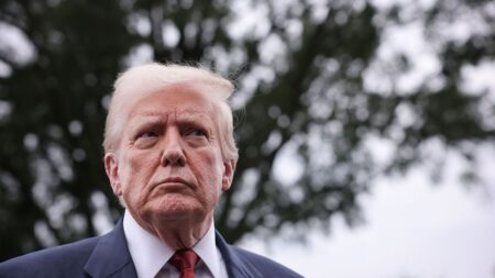 habeas corpus clause