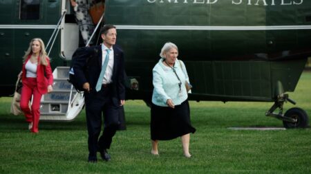 Biden cognitive decline investigation