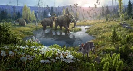 কাতার-ও-গ্রিনল্যান্ড