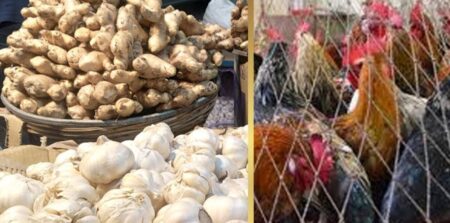 কেজি ১৬০