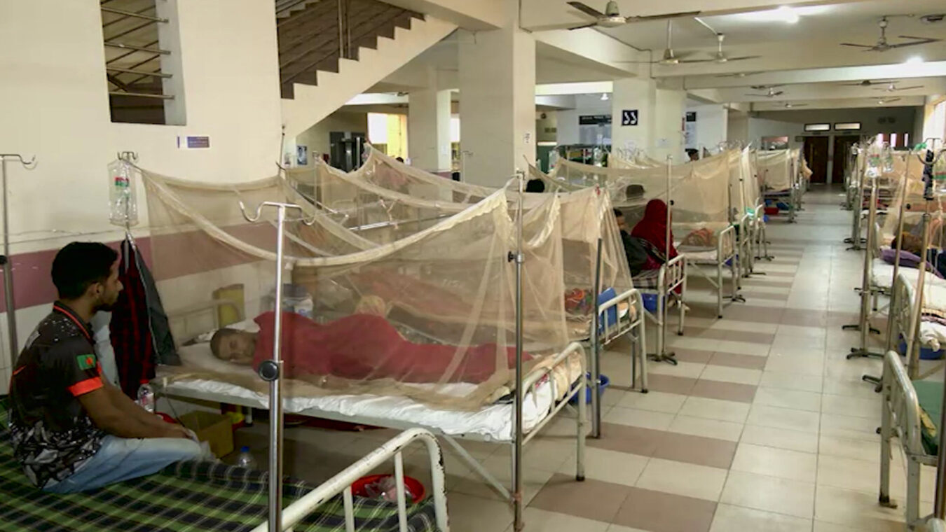 ডেঙ্গু আক্রান্ত