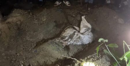 ‘মাইকের আজানে ঘুমের ব্যাঘাত’ বলা আলমাসের বস্তাবন্দী মরদেহ উদ্ধার বস্তাবন্দী মরদেহ উদ্ধার