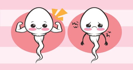 এক ফোঁটা বীর্য তৈরিতে কত ফোঁটা রক্ত লাগে? অনেকেই জানেন না বীর্য