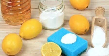পরিষ্কারের কাজে লবণ‑লেবুর কিছু চমৎকার ব্যবহার ব্যবহার