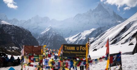 ভারী ধাতু