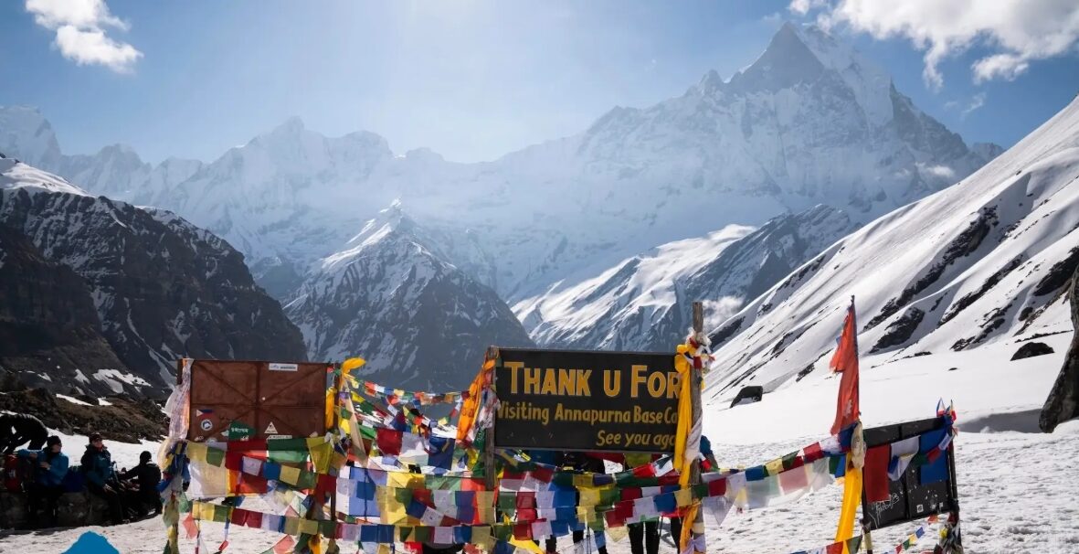 ভারী ধাতু