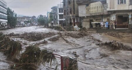 মৃতের সংখ্যা