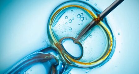 যুক্তরাষ্ট্রে জন্ম নিল ১৯৯৪ সালের হিমায়িত করা ভ্রূণের শিশু শিশু