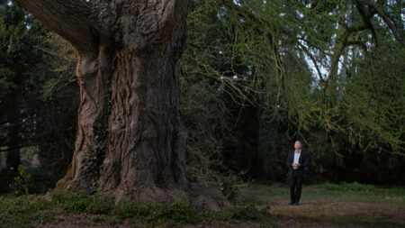 Silent Friend film review