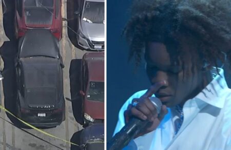 Body Found Inside Tesla Belonging to Singer D4vd at Hollywood Tow Yard, LAPD Confirms Body found inside Tesla belonging to singer D4vd