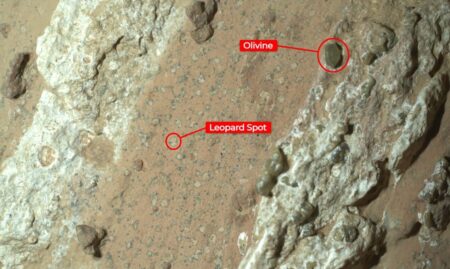 NASA Announces Evidence of Ancient Life on Mars After Perseverance Rover Discovery NASA announces life on Mars