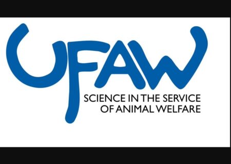 UFAW Animal Welfare Student Scholarships Open for 2026 Applications UFAW Animal Welfare Student Scholarships