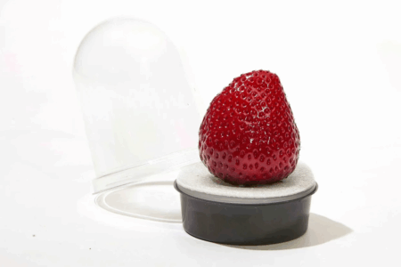 Why Luxury Strawberries Command Premium Prices Why Luxury Strawberries Command Premium Prices