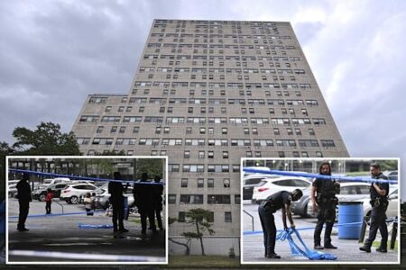 23-Year-Old Man Shot Outside Coney Island Apartment Building