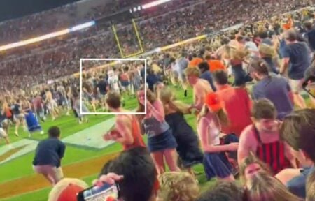 Squirrel White FSU: New Video Shows Terrifying Field Storm But Receiver Survives squirrel white fsu