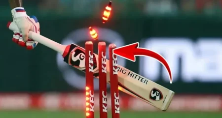 ক্রিকেট খেলায় তিনটি উইকেট থাকে কেন? এর পিছনের রহস্য কি ক্রিকেট