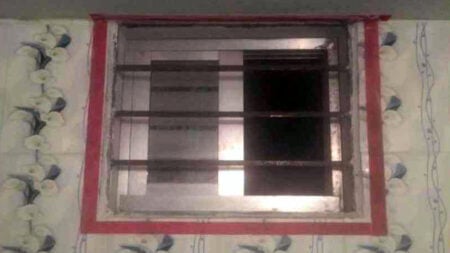 বাথরুমের ভেন্টিলেটরে বিষধর সাপ, তারপর যা ঘটলো Bathroom