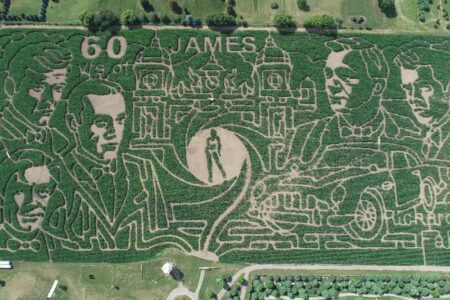 Beachmont Corn Maze 2025 Debuts New Brick World Attraction
