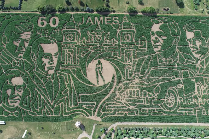 Beachmont Corn Maze 2025 Debuts New Brick World Attraction