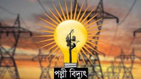 পল্লী বিদ্যুৎ