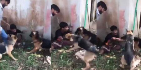 কুকুর লেলিয়ে নির্যাতন