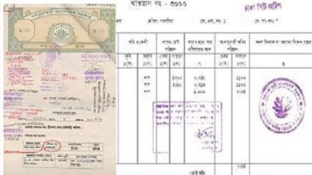 দলিল ও খতিয়ান ছাড়াই এই ২টি প্রমাণ থাকলেই জমির মালিকানা আপনার জমির মালিকানা