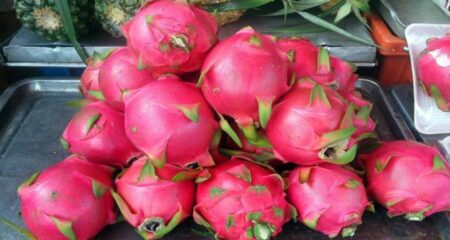 ড্রাগন ফল খেলে যা ঘটবে আপনার শরীরে Dragon