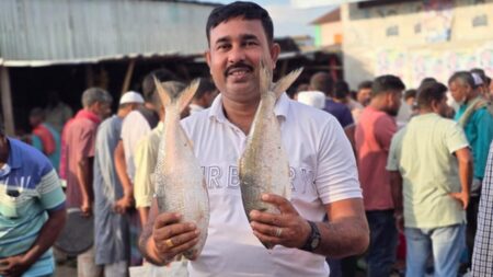 Ilish
