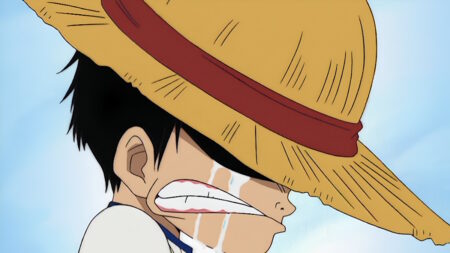 One Piece anime hiatus